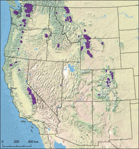 Map of Glaciers of Western US